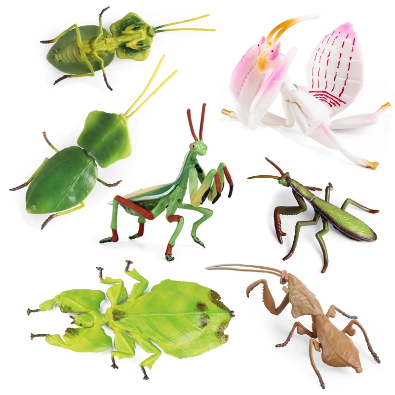 Modelos-de-simulaci-n-de-animales-para-rezar-Mantis-figuritas ...