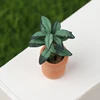 1Pcs 1:12 Dollhouse Miniature Potted Plant Pot Green Leafed Plant Garden Balcony Decoration Dollhouse Collection Kids' Toys 6