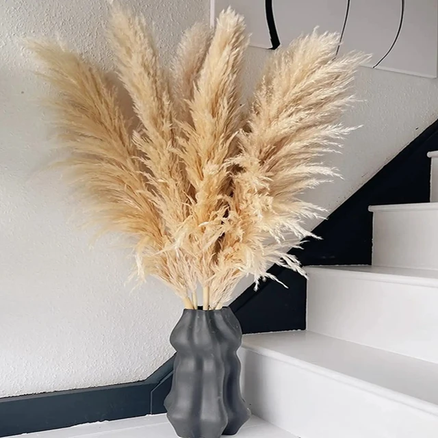 Decoración de Pampas secas naturales, ramo de Pampas grandes y esponjosas,  flores secas largas, decoración de arco de boda, sala de estar, 80cm -  AliExpress