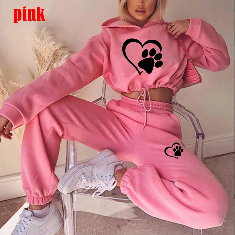 New Women Tracksuit Hoodie and Pants Casual Sport Suit Winter 2 Piece Set 8 Colors Jogging Suit