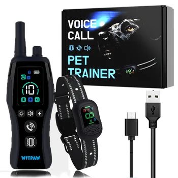 Remote Dog Training Collar 1