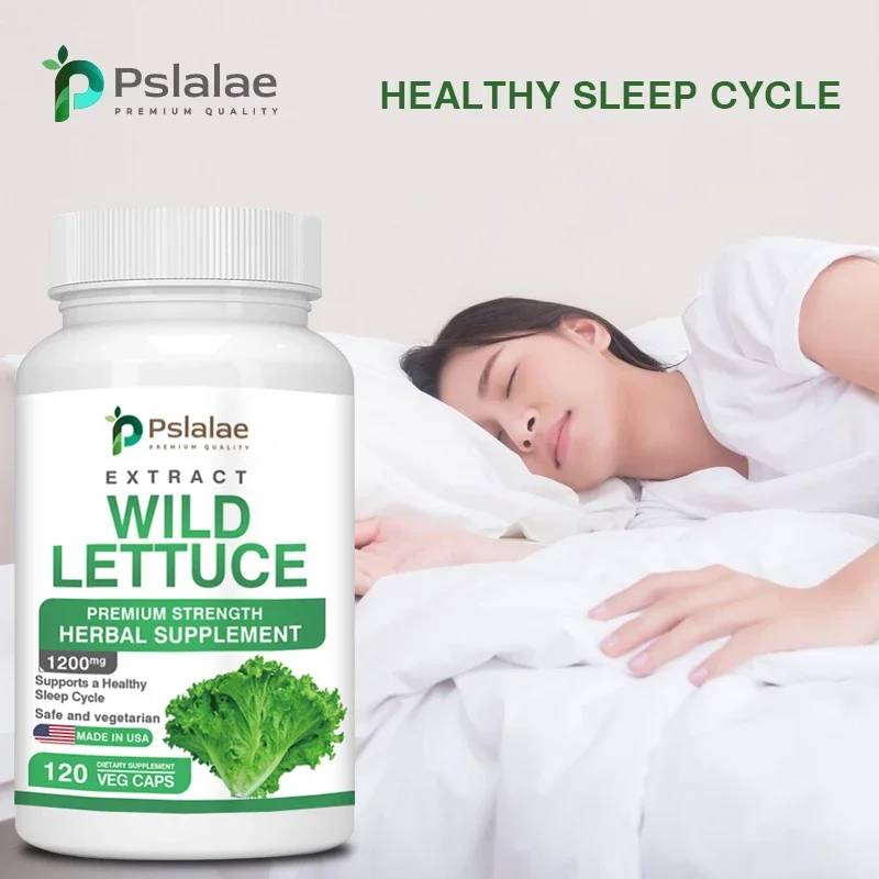 Wild Lettuce Improves Sleep Cycles Mood Booster Boosts Immunity