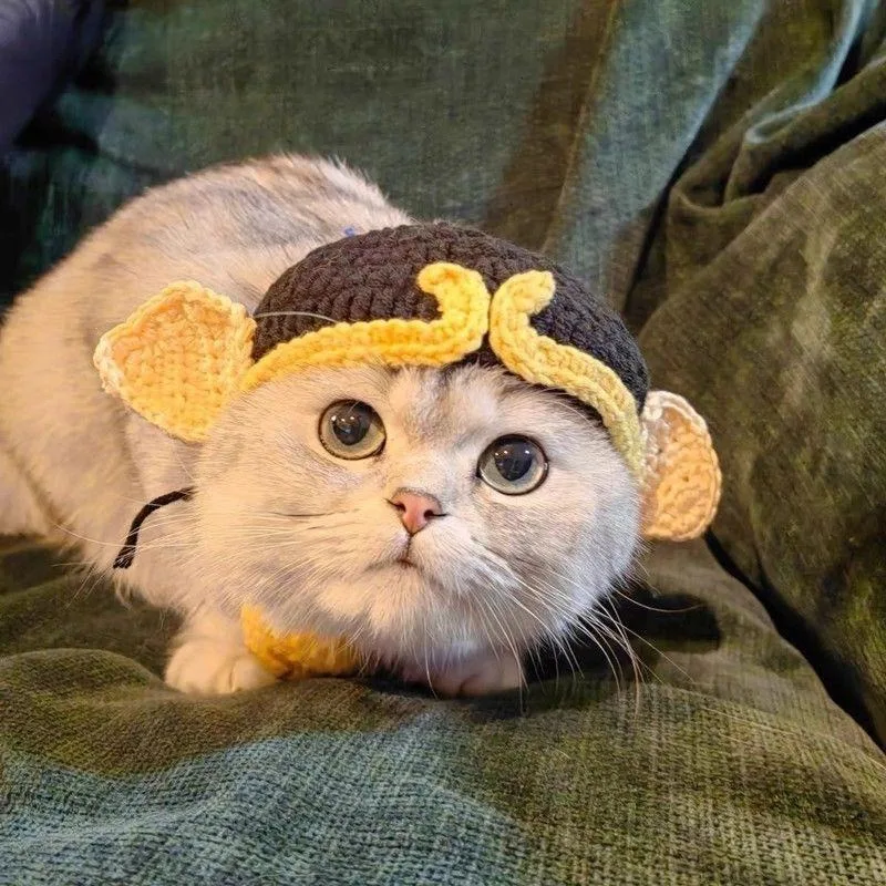 Cat Hat Puppy Kittens Knitted Party Photo Shoot Props Decoration Cat Accessories pet hat