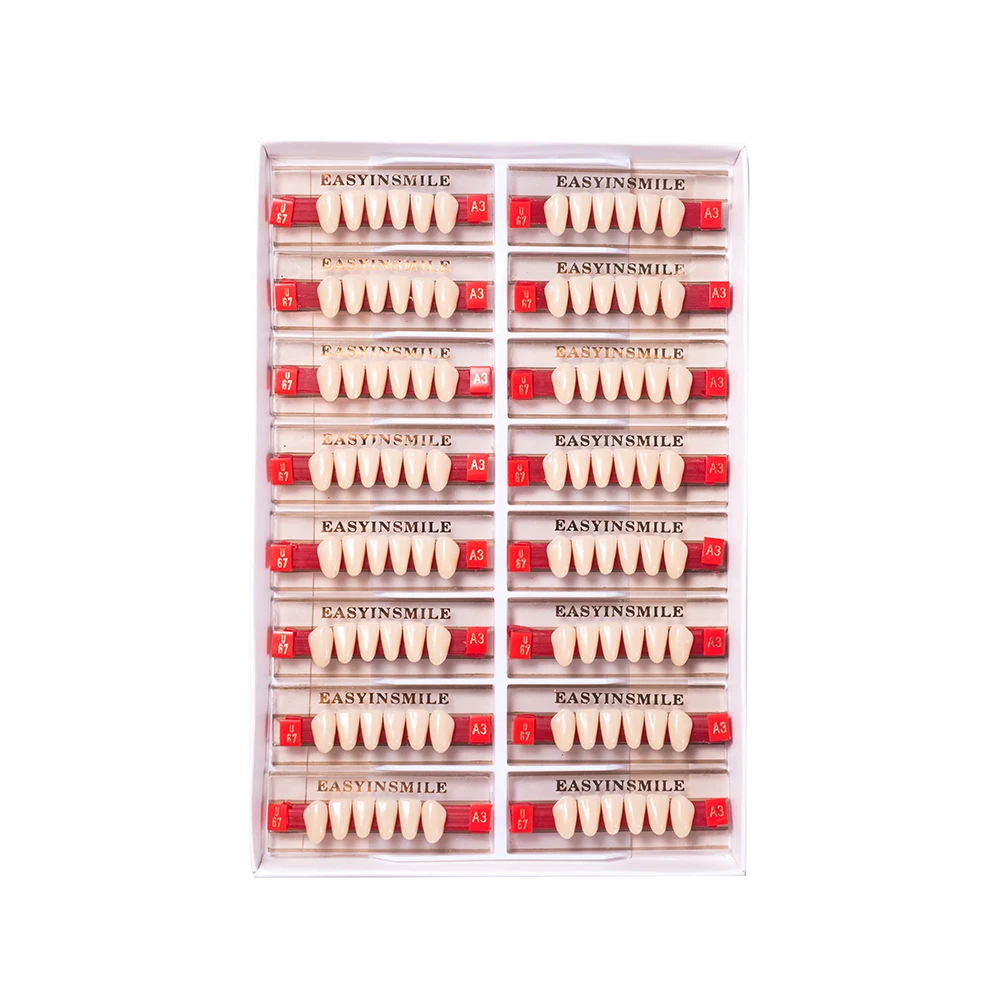16/12 Sets/ Box Dental Denture Teeth Upper Anterior Lower Posterior Teeth acrylic A2 A3 2 layers Dental Education Model 3