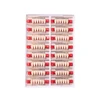16/12 Sets/ Box Dental Denture Teeth Upper Anterior Lower Posterior Teeth acrylic A2 A3 2 layers Dental Education Model 3