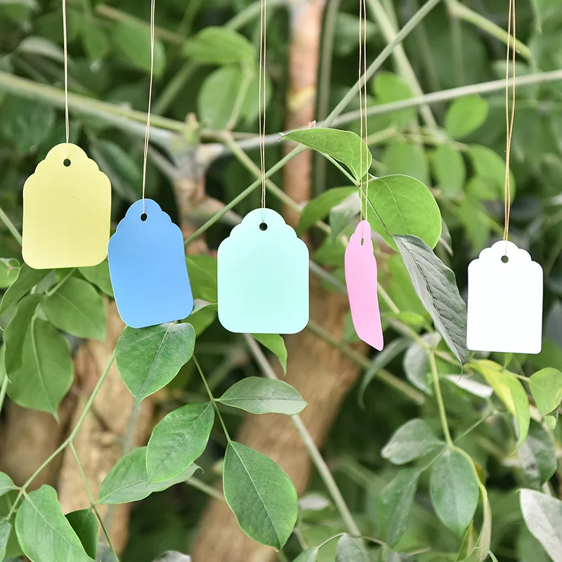 Plant Labels 100Pcs PVC With Rope Garden Decoration
