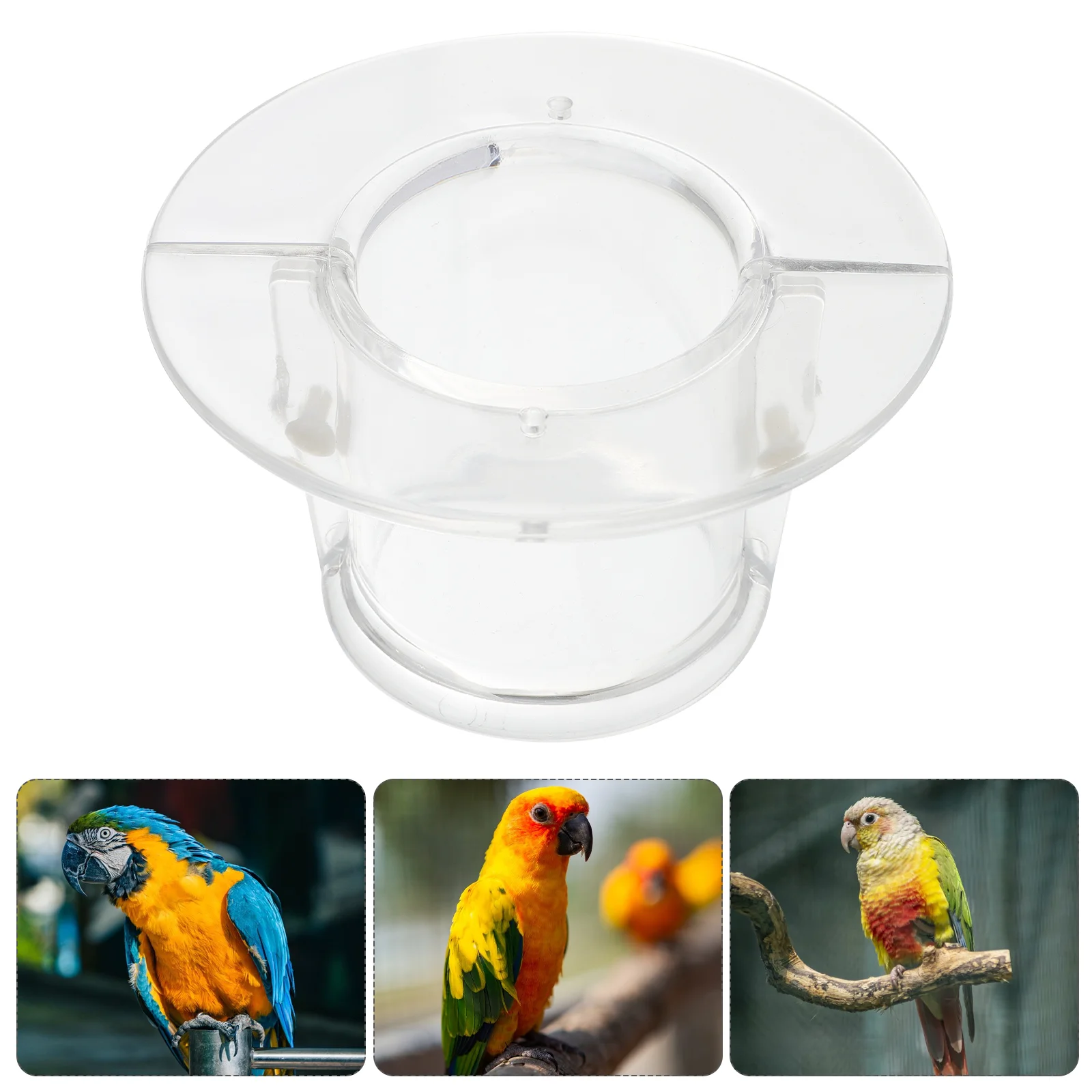 

Bird Harness Bird Collar Pet Parrot Plucking Neckband Anti Bite Collar Anti Grab Lick Wound Healing Practical Safety Neck Cover