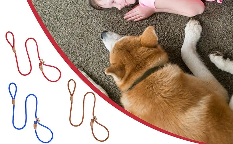 

Dog lead Slip Rope Lead rope Heavy Duty Braided Rope Adjustable Loop Collar Training Leashes For Medium Large Dogs Pet Supplie