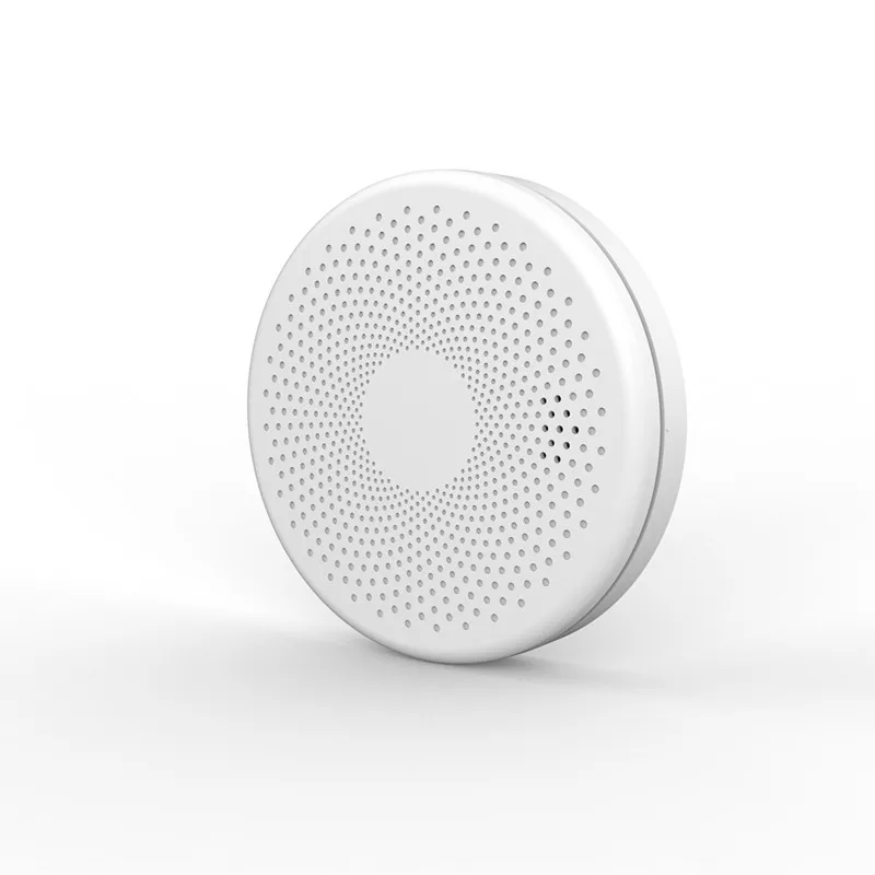 Allarme Fumo Combinato Autonomo E Rilevatore Di Monossido Di Carbonio, Alimentato A Batteria Aa, Allarme Fumo Gas Indicatore Co