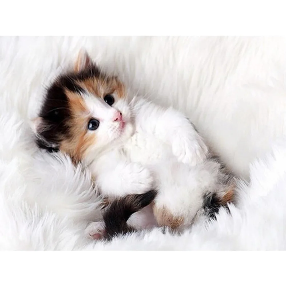 Tier Katze DIY Kreuz Stich Stickerei 11CT Kits Handwerk Set Gedruckt Leinwand Baumwolle Faden Hause Dekoration Heißer Verkauf Dropshipping