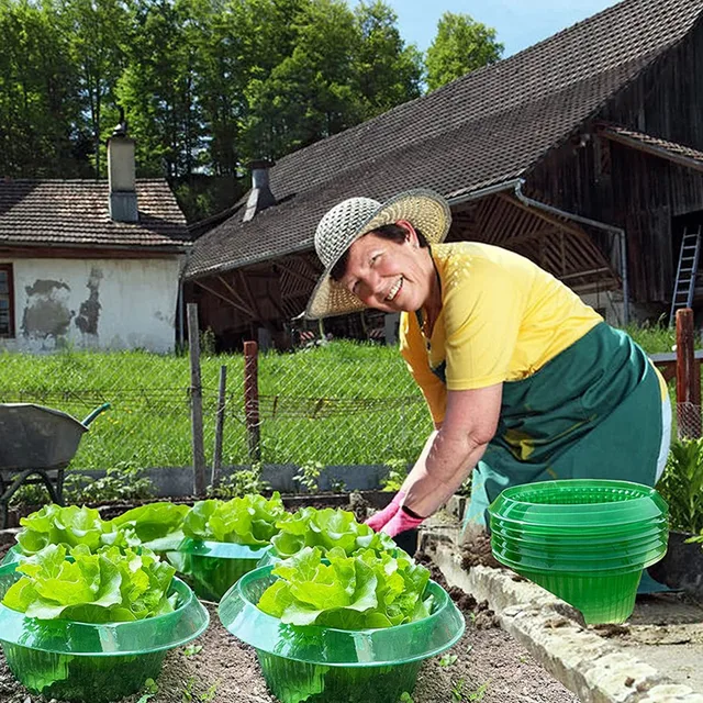 Kerti Cloche, 6 Csomag Csiganövény Védelmi Gallér, Csigavédelem Kémia Nélkül, Csigagallér Védi A Növényeket - Image 3