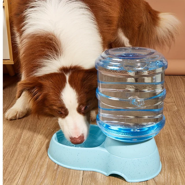 Pet dog and cat water feeding and feeder  can be large capacity automatic water storage water feeder  and feeder 4