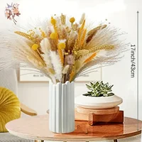 100Pcs Premium Dried Flowers Pampas Grass