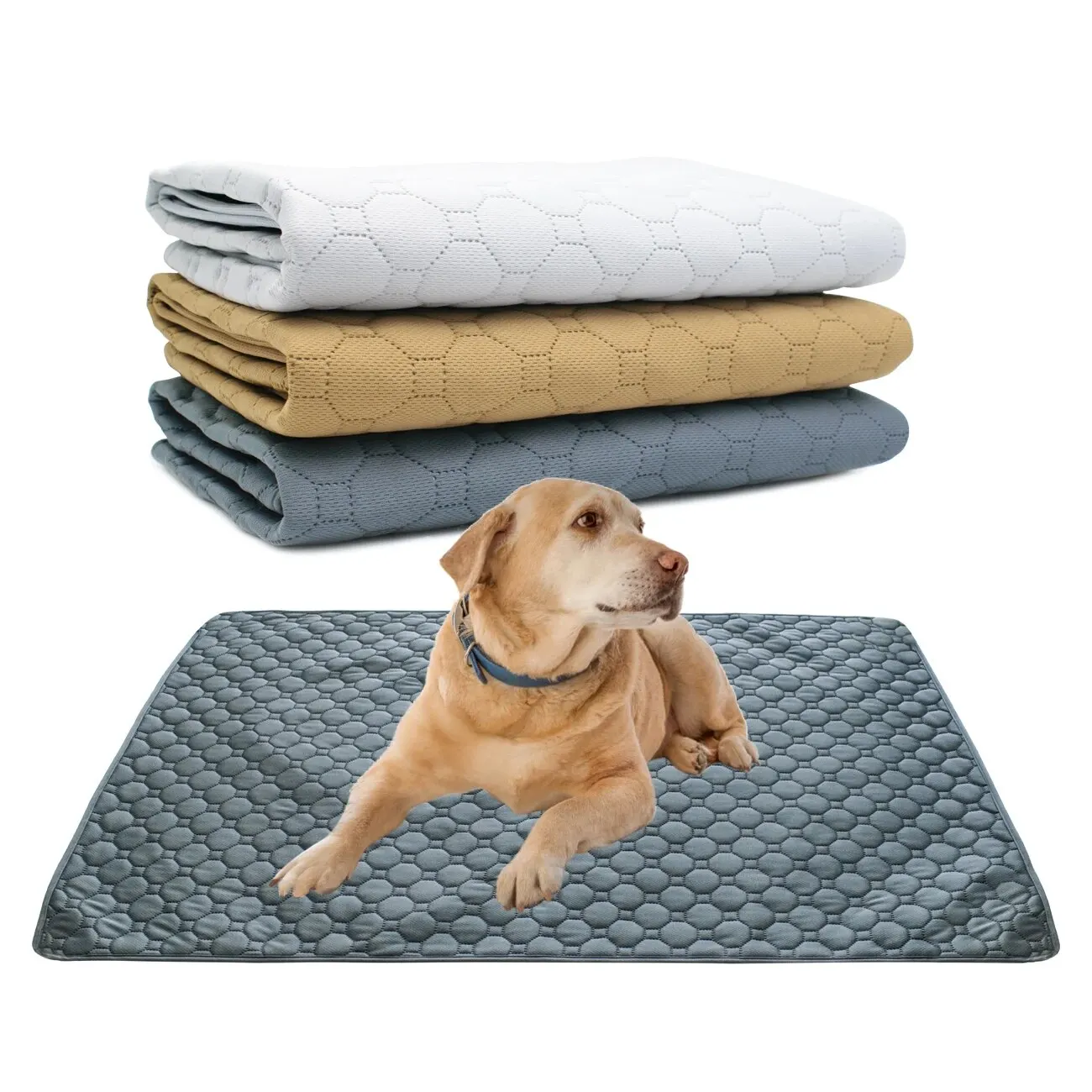 1PC Super Absorbent Washable Pee Pad for Cats Small Animal Reusable Non-Slip Puppy Pads Pet Training Pads Waterproof Dog Pee Pad dog pee pad dog training pad