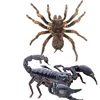 Real Beetle Blue Alien Scorpion Specimen Tarantula Giant Rainforest Insects Steam Beetle Collection Photography Home Decor 1