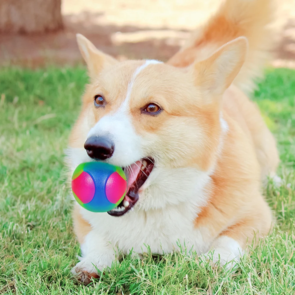 Pet Dog Toy Ball Tpr Tri-Color Light Up Elastic Small Dog Flash Pet Training Interactive Throwing Dog Ball 3