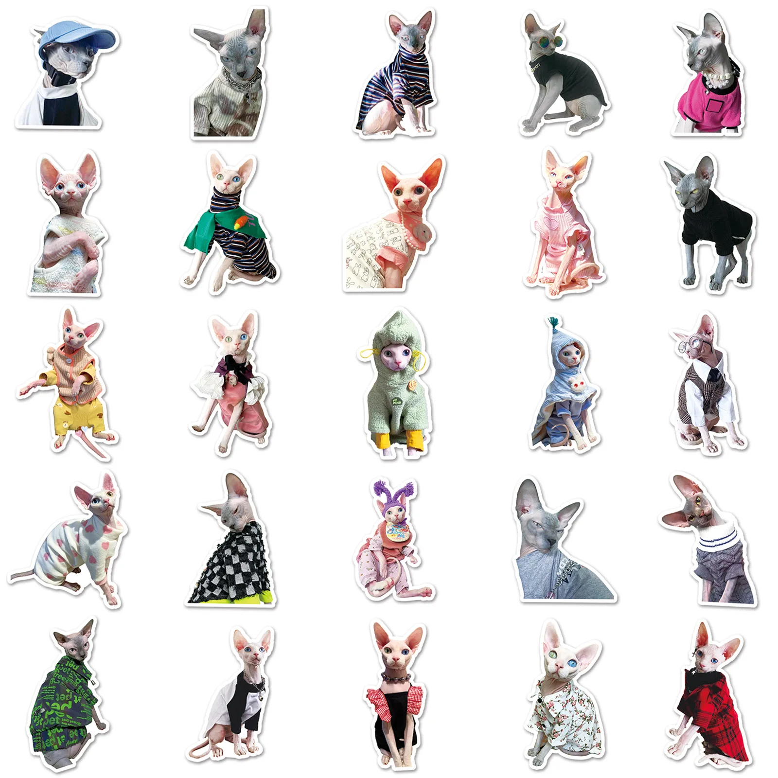 Hairless Cat Sphinx Series Graffiti Stickers 50Pcs Laptop Helmets Desktop Decoration DIY Toys