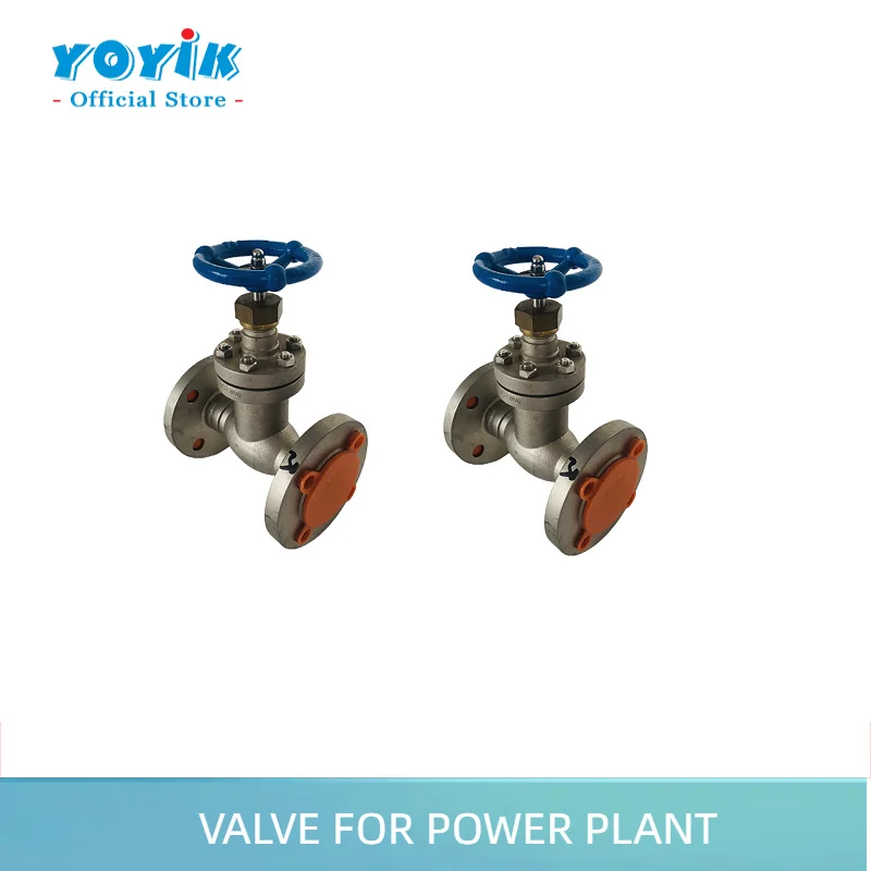 stainless steel globe valve (flange) 125FJ-1.6PA2 single detector check valve