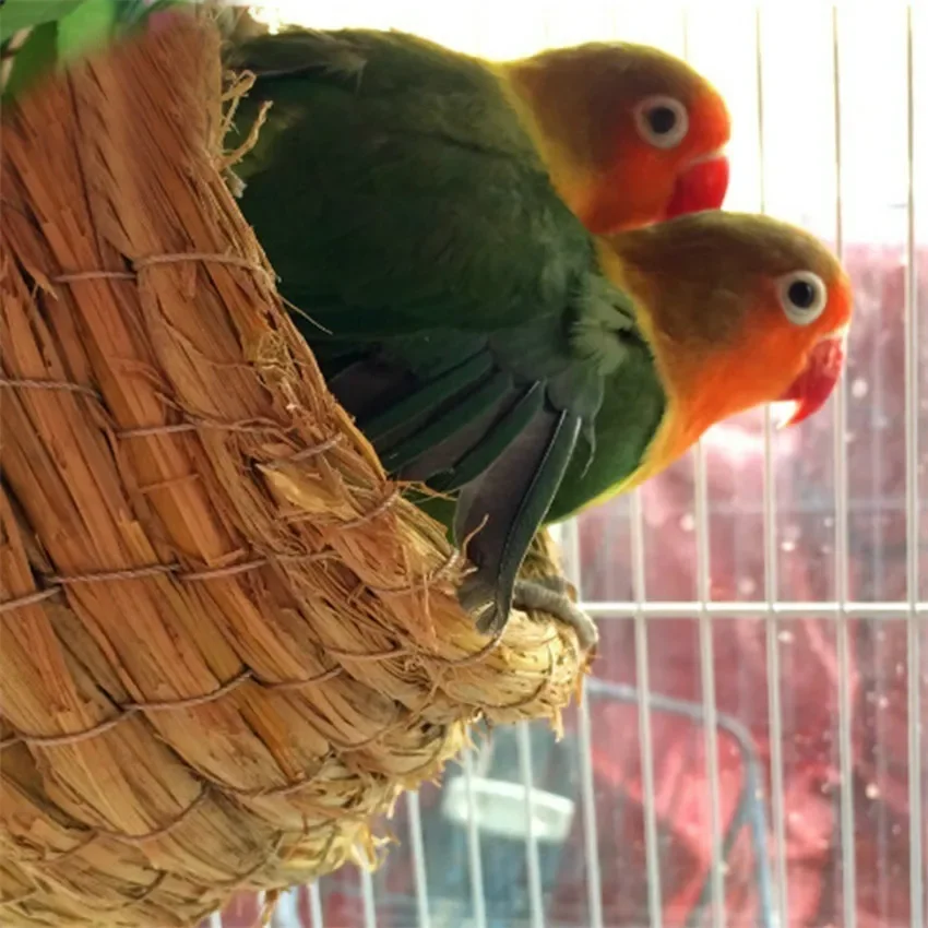 Nido per Uccelli in Paglia Naturale Intrecciato a Mano, Accogliente Cuccia per Piccioni e Pappagalli, Camera Calda per Animali Domestici, Decorazione per Gabbie da Esterno, Accessori per Uccelli - immagine 4
