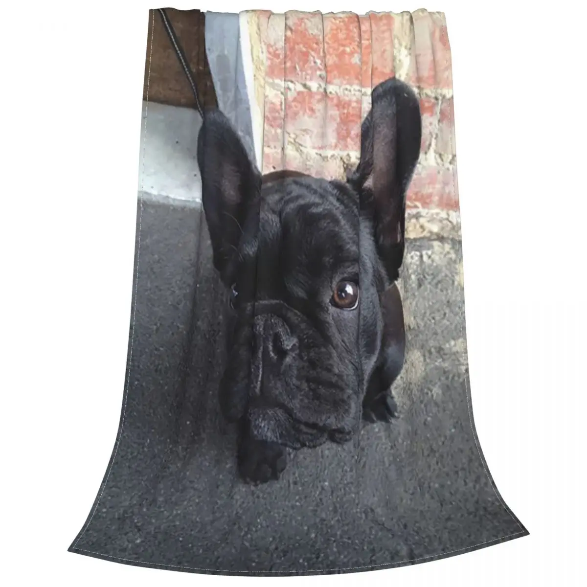 ������ ���� �ö��� ��� �ε巯�� ������ �淮 Ȩ ���� ħ�� ��� ��� ���� ķ�� ���� ������ �ҵ� ������ �Ϳ���