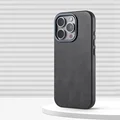 SW CX Gray