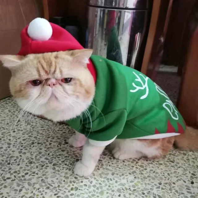 Christmas Sphynx Cat Hooded Sweater Winter Warm Pet Costume for Cats Gotas Katten Garfield Clothes Sweatshirt mascotas Clothing 3