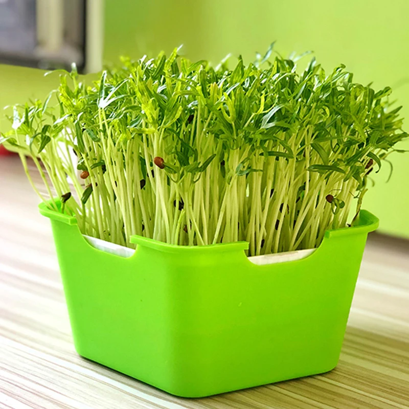 Sprout Planting Pot Bean Sprouter Seedling Tray Wheat Grass Growing Germination hydroponic germination tray plant rooting pot seedling box