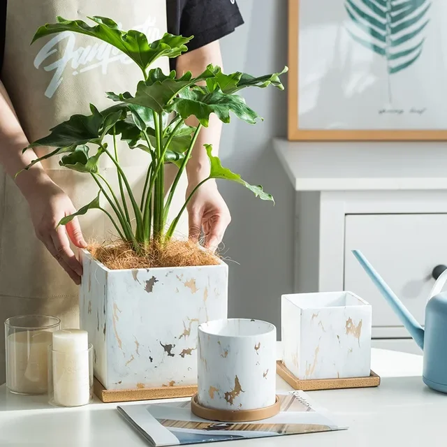11/14/17cm Nordic Ceramic Flower Pots Small Succulent Green Plants Flowerpot with Tray Home Desktop Decoration Garden Supplies 11/14/17cm Nordic Ceramic Flower Pots Small Succulent Green Plants Flowerpot with Tray Home Desktop Decoration Garden Supplies