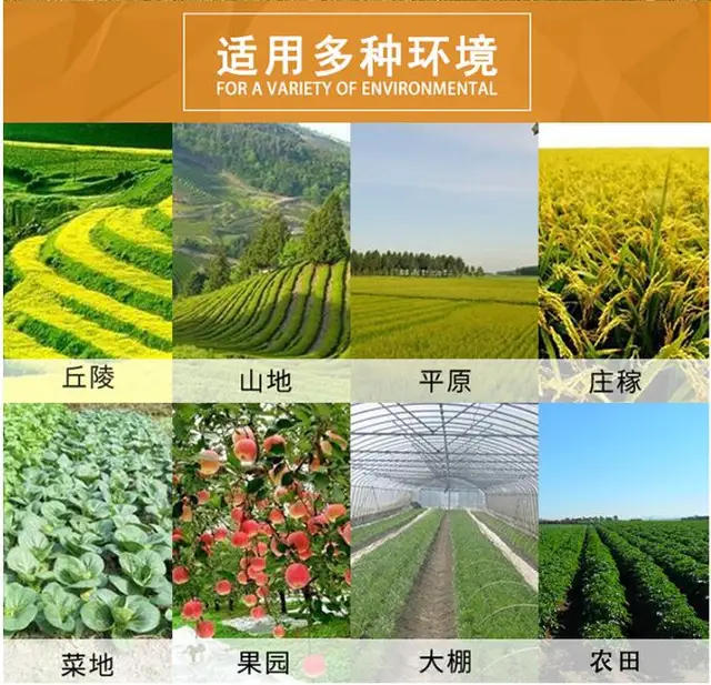 Small Tillage Machine agricultural Tool Tiller Garden Engine Walking Rotary Soil Loosening farm Equipment Two stroke 2