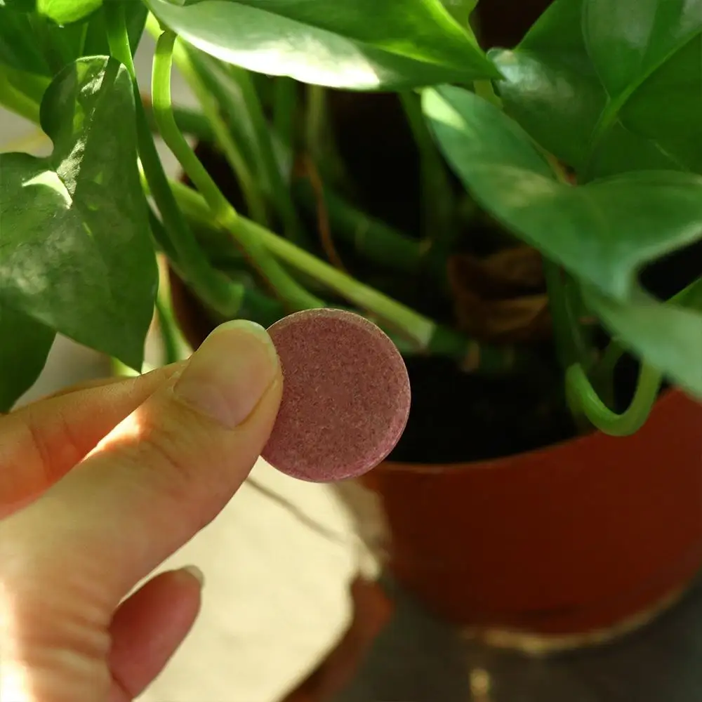 Description Picture 3 of itemUniversal Phosphorus Organic Fertilizer Potassium Speed Up Slow-Release Tablet Growth Plant Nutrition Tablets Plants Potted
