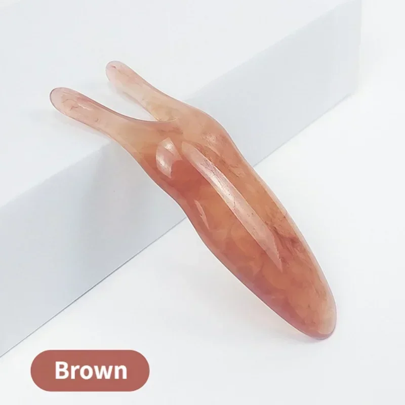Snail-Brown