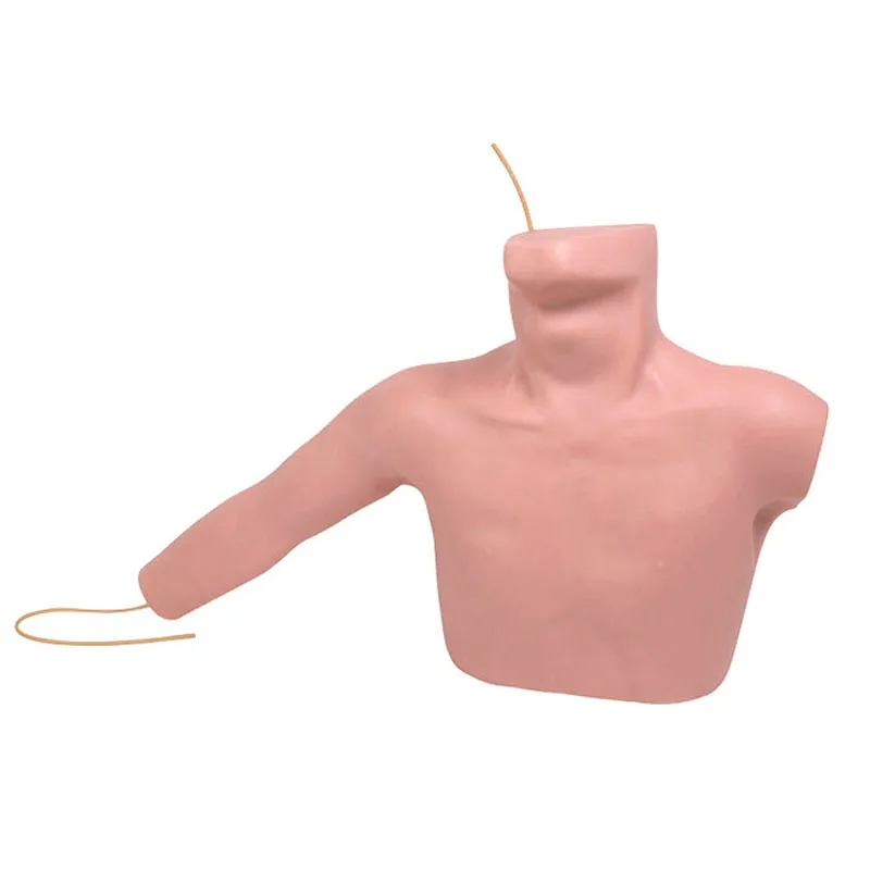 

L67A периферическая прокола, Центральная венозная Интубация прокола, медицинская обучающая модель