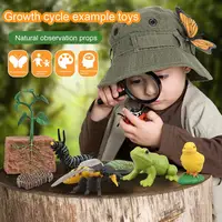 1 Box Animal Model Toy Frog Bee Panda Chick Butterfly Fish Plant Animal Figurines Life Cycle Learning Creative Kid Education Toy 2