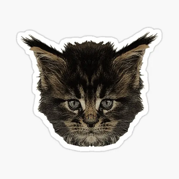 

Baby Cat Car Auto Sticker Sticker Colorful A1