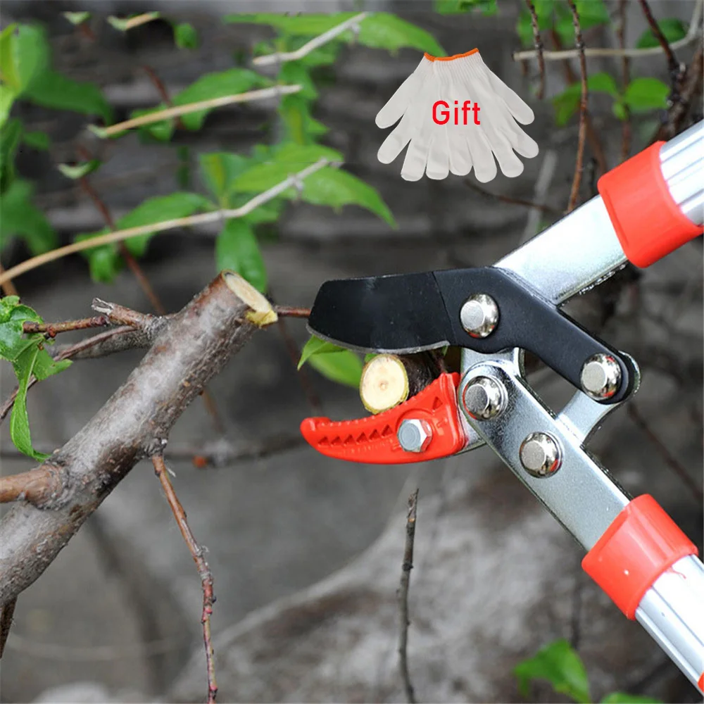 Ratchet Loppers Pruners