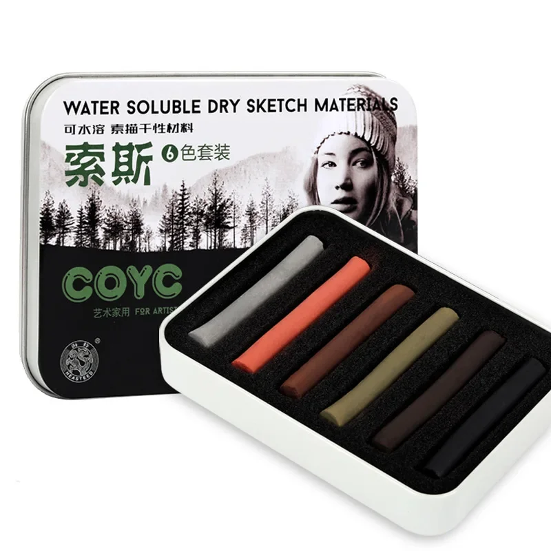 Sketching Dry Powder Water-soluble Charcoal Sticks Dual Use Dry and Wet Artist Painting Charcoal Pencils Art Supplies 6pcs