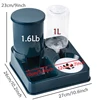 Automatic Cat Feeder Water Dispenser Set, 2 In 1 Tilted Automatic Pet Food And Water Feeder Gravity Food Feeder and Waterer 2