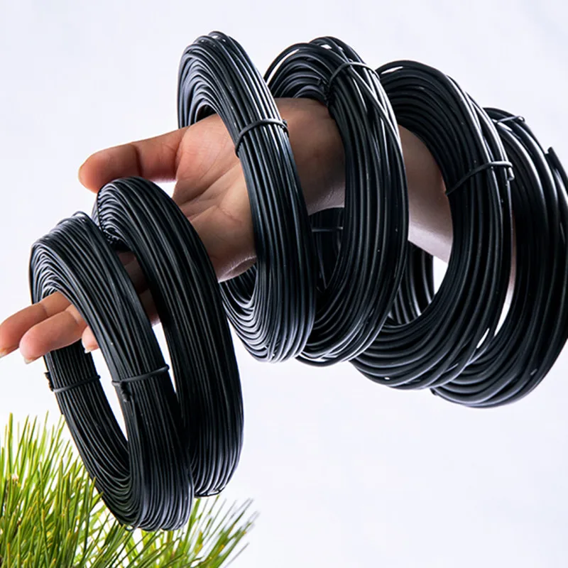 Total 5M (Black) Bonsai Wire Anodized Aluminum Bonsai Training Wire, 5 Sizes (1.0Mm, 1.5Mm, 2.0Mm, 2.5Mm, 3Mm) for Plant Shapes 4