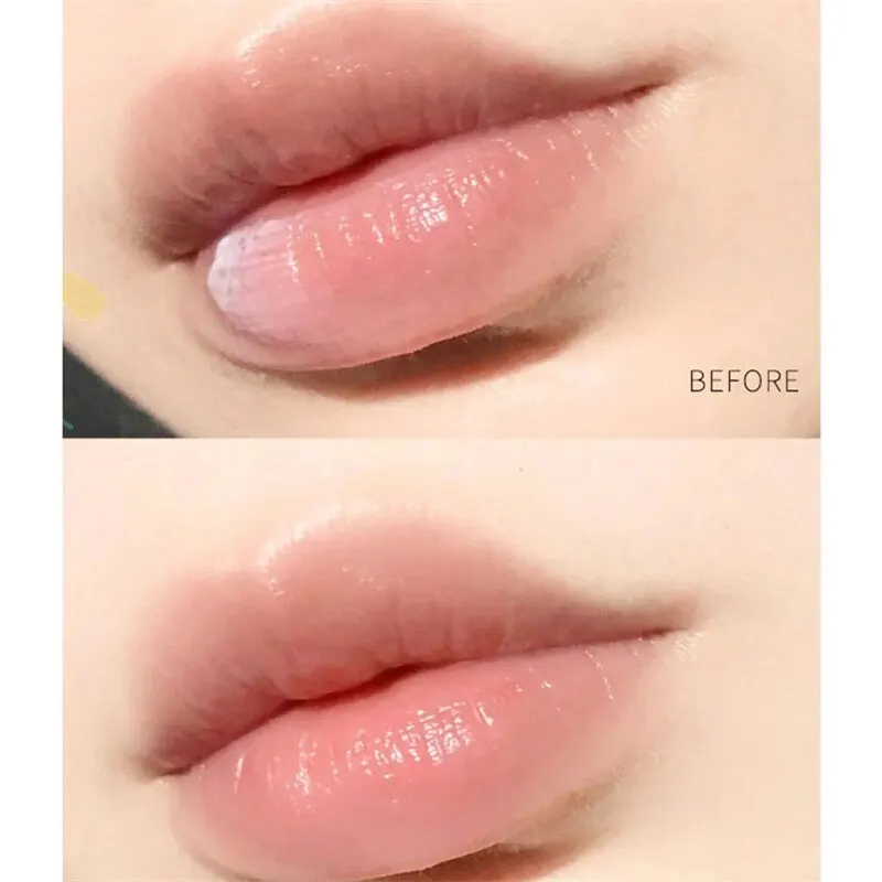 4pcs Natural Plant Lipstick Whitening Lipstick Base Moisturizing Cream Anti Crack Lip Care Jelly Color Makeup Lip Gloss 6