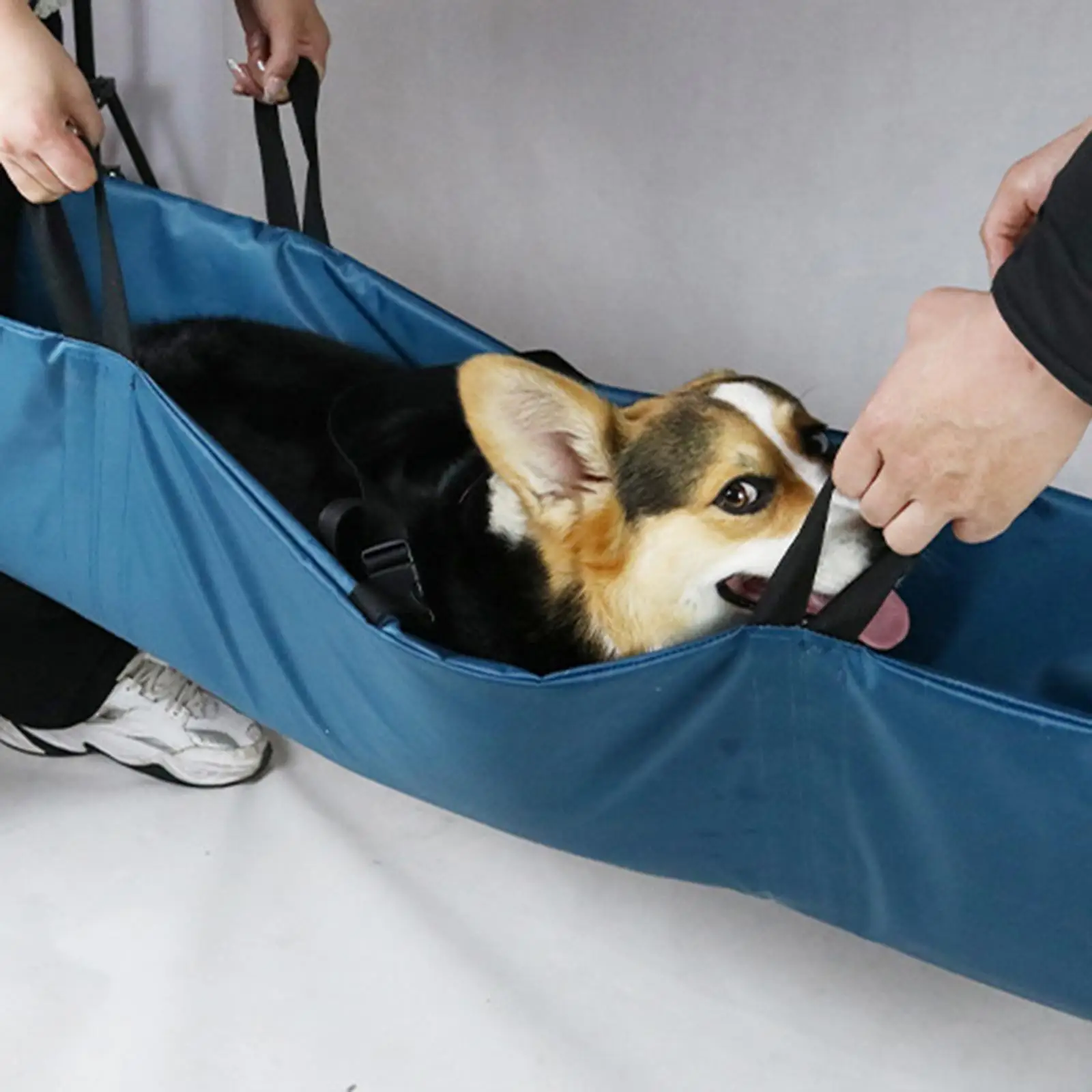 Small Animal Carrier Animal Transport GARMISH Transport Stretcher