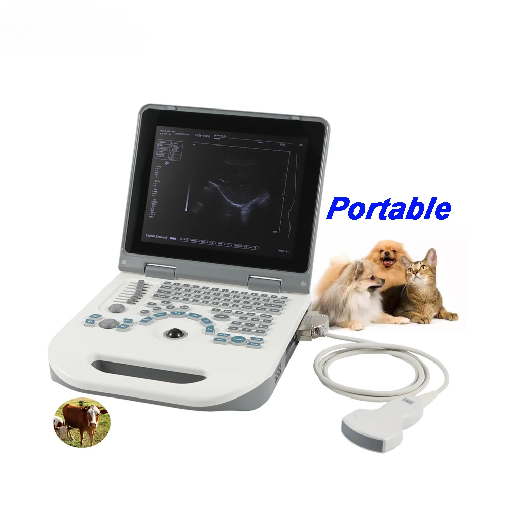 

veterinary micro convex probe medical laptop ultrasound instruments