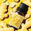 Ginger Oil 100%Pure Natural Ginger Essential Oils For Hair,Massage,Skin,Diffuser,Body Oil,Hair Growth Oil,Warm 10ml