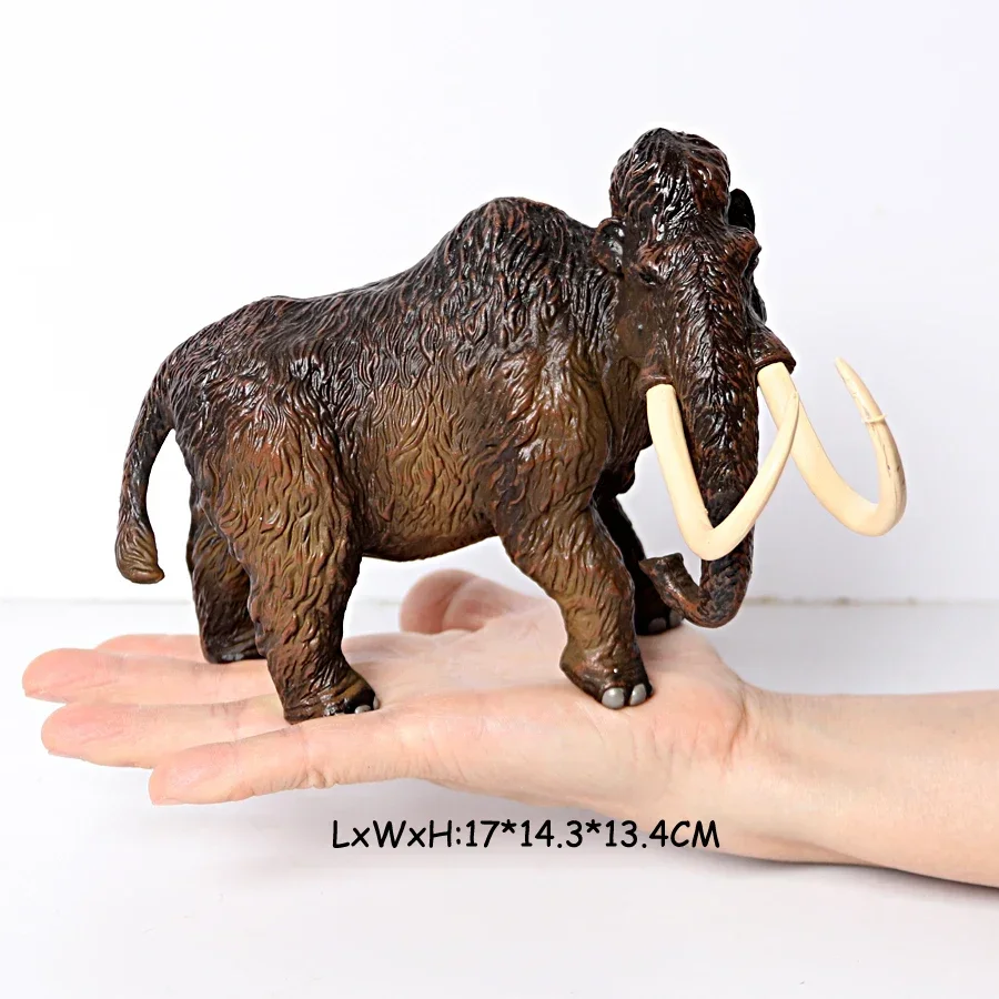 Elephant 8