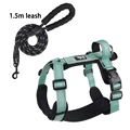Green with leash