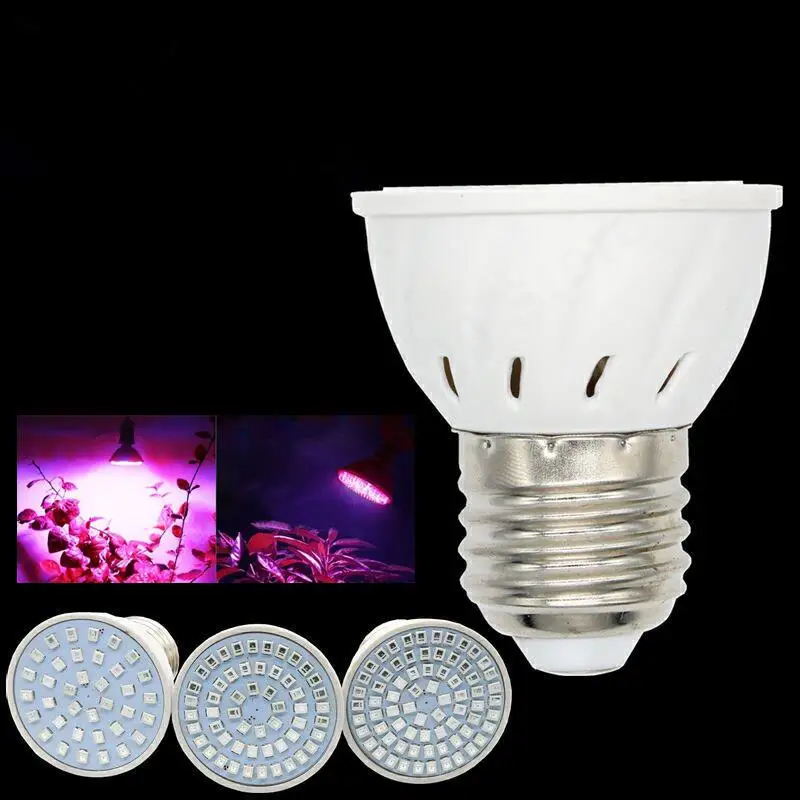 Lumière de croissance hydroponique pour serre intérieure, ampoule LED, plante de fleurs végétales, lampe Lauren hydroponique, 220V, M20