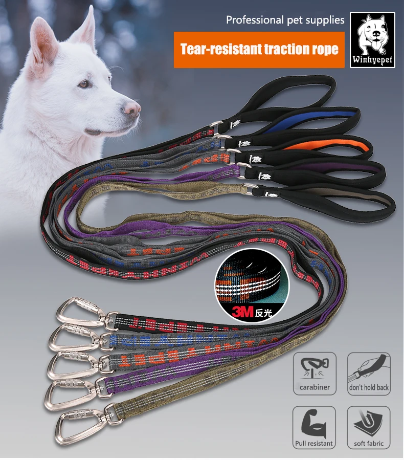 TRUELOVE-Pull-Resistant Nylon Webbing Pet Leash, Corda de