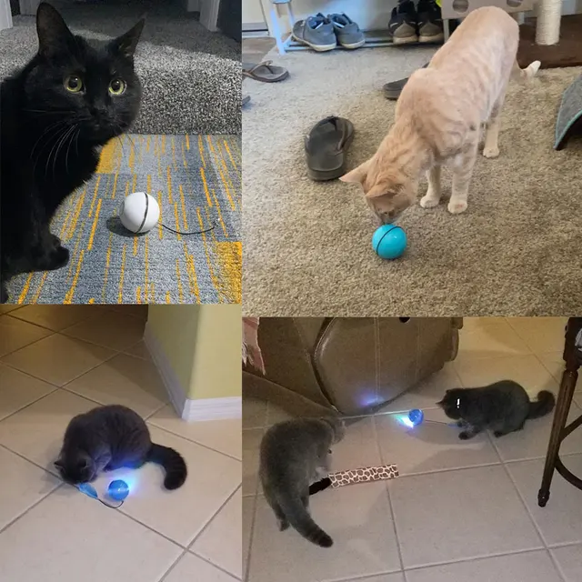 Jouets intelligents pour chat balle interactive avec cloche en plumes jouet pour chaton amusant et Rechargeable