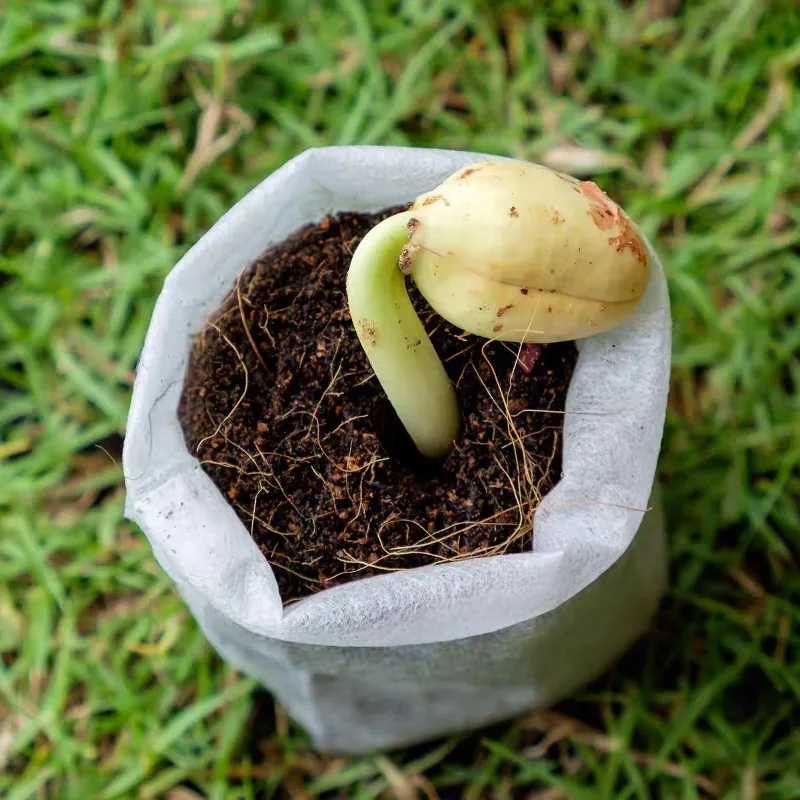 Wholesale Biodegradable Nursery Bag Plant Grow Bags Non-woven Fabric Seeds To Sow Flower Pots for Home Gardening Accessories 5