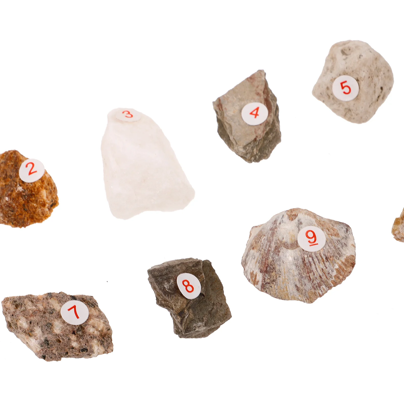 10개 천연석 표본 광물 암석 컬렉션 불규칙한 돌 장식품 책상 장식 가정 사무실용
