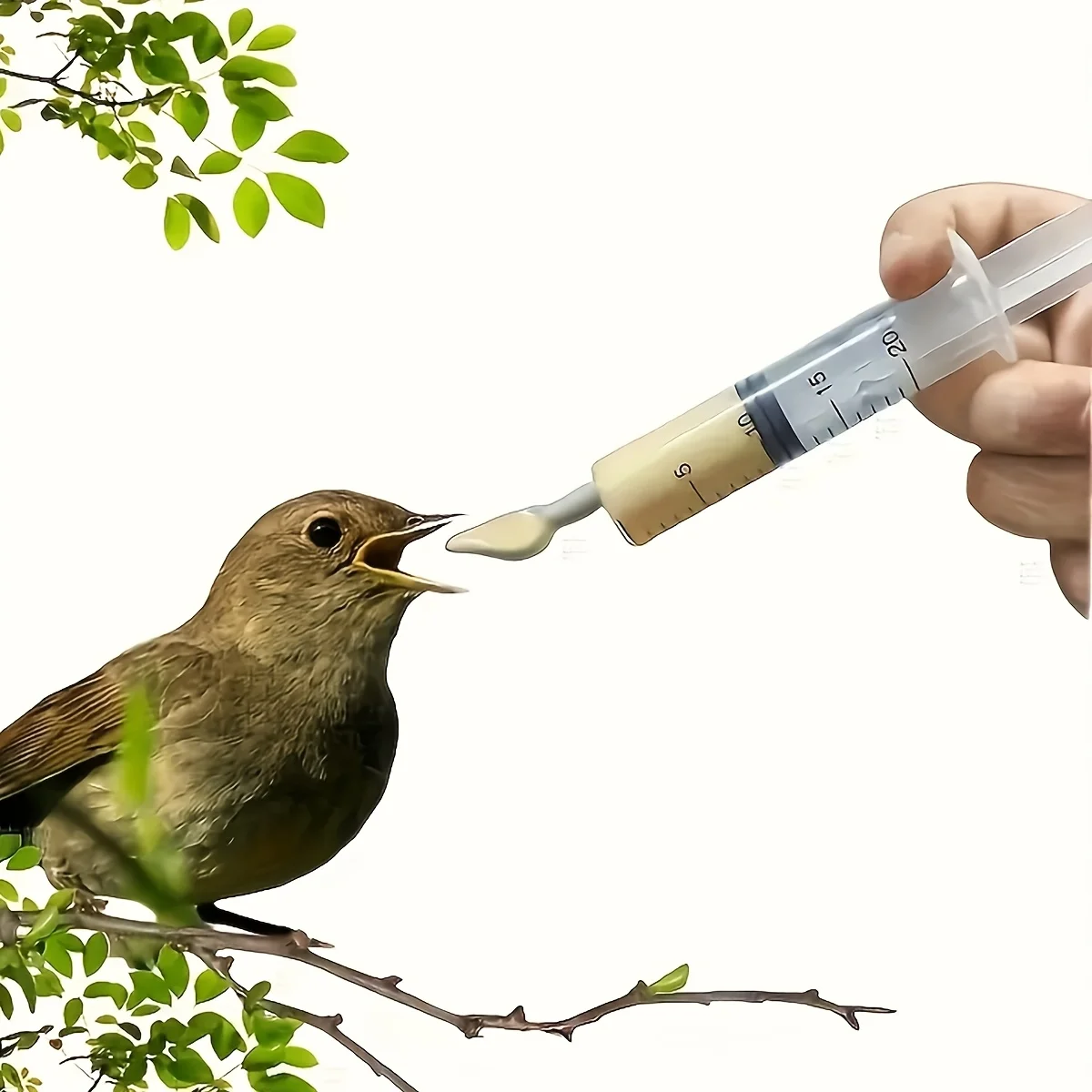 1 set of bird feeding syringe - Baby bird parrot feeding tube - Manual feeding syringe, can be used for small birds, kittens and 5